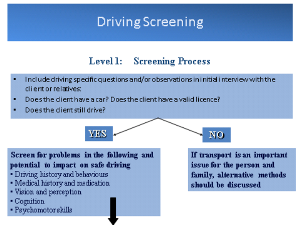 Level 1 driving screening process